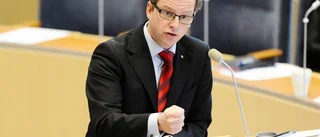 Damberg och Sjöstedt - kanske ingen slump?
