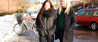 Seminarieserie för eleverna på Bergska