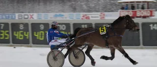 Sensationell champion i Boden