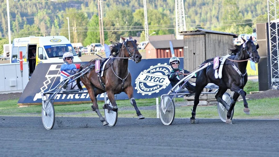Älvsbyägde Davids Sisu (längst fram) satte färg på sitt lopp men höll inte hela vägen. (Arkivbild).