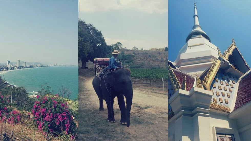 Bouganvilla-prakt, på elefantrygg genom vingård och ett tempel på apornas berg. Allt i Hua Hin, Thailand.