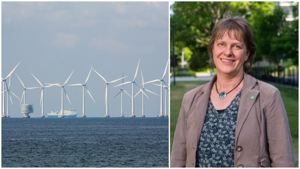 Innan Tierps kommun kan säga ja till vindkraftparken Najaderna utanför sin egen kust kräver man svar hur den kommer att påverka djurliv och ekosystem. Det säger Jenny Lundström (MP),ordförande i samhällsbyggnadsutskottet.