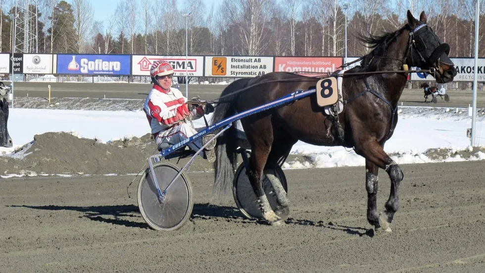 HEMMA. 13-oddsaren Made At Home vann V5-3 med hemmaamatören Peter Wikström i sulkyn. Wikström körde hem en trippel under tävlingsdagen.