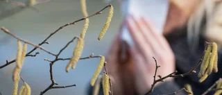 Pollen ett säkert vårtecken
