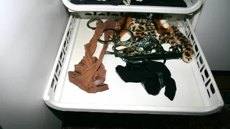 Det tredje mötet med nöjesprofilen blev till en våldsam sexlek som Tove inte alls var förberedd på. I ett skåp i sovrummet förvarade nöjesprofilen fem handklovar, en rosa dildo och läderpiskan med strån och knutar längst fram som han tog fram och använde. Foto: Polisen