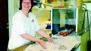 Marie Felix köpte maskinen för fem år sedan. Då hade den stått i Saluhallen i Norrköping i över tio år. Som mest kan hon producera 2 500 cocosbullar på en dag, men då får hon arbeta från morgon till kväll.