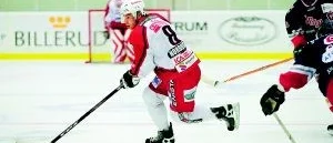 Anders hjälte hos Hästen