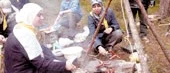 Grillade nya scotledare