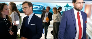 Fokus på SD-framgång i utländska medier