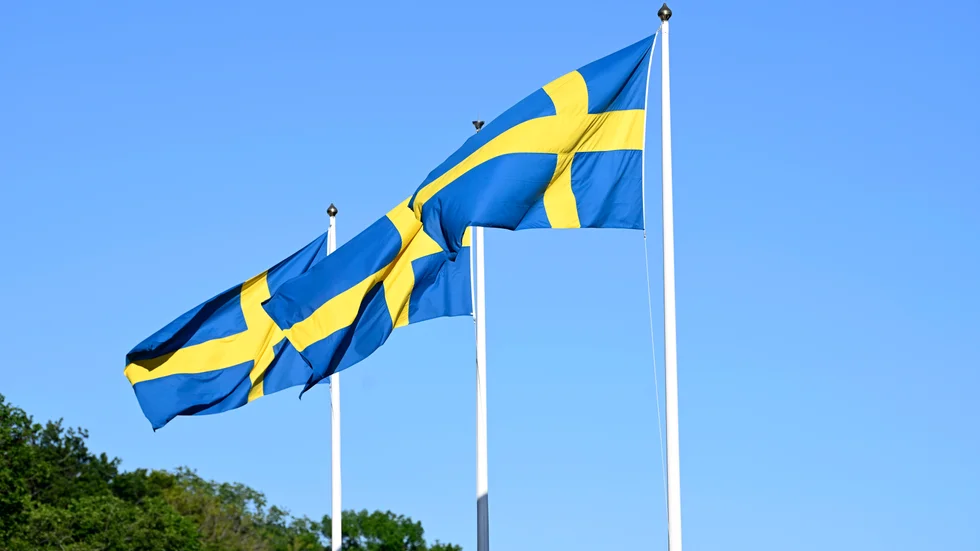 Skribenten menar att nationalism snarare splittrar än förenar.