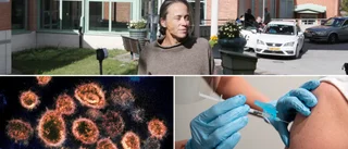 Från covid till apkoppor – Amér om nya vardagen • ”Det dyker upp andra sjukdomar”
