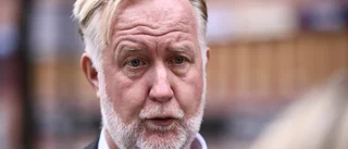 Pehrson söker lugna EU-ilska om SD