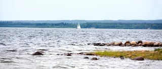 Segdraget beslut om naturreservat