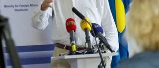 Vad gör Carl Bildt?
