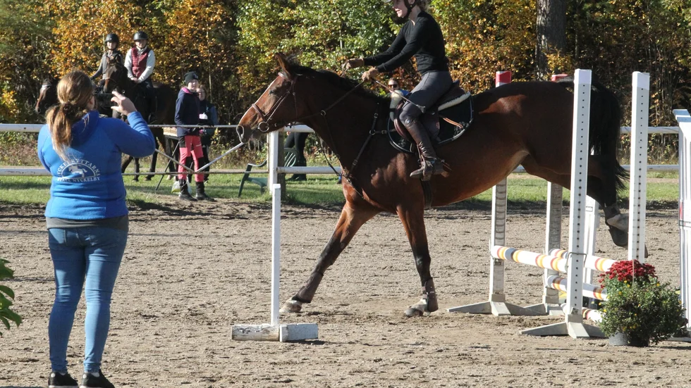 Hoppning för Cancerfonden. Pernilla Mohall och Nyckelby emotion var ett av de ekipage som red i den speciella tävlingen på Nykyrka ridklubb på söndagen. Ett samarrangemang mellan Nyrk, Nyckelryttarna och Morf.