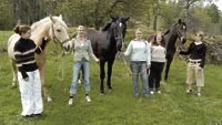 Linda Pettersson, Totebo, Malin Knutsson, Västervik, Maria Karlsson, Västervik, Jennie Adolfsson, Ålem och Charlotte Pettersson, Överum, arrangerar en stor dressyrtävling på Valstadskolan nu på lördag. Tävlingen är deras stora projektarbete i årskurs tre på naturbruksgymnasiet Valstadskolan. Foto: HANS BRANDIN