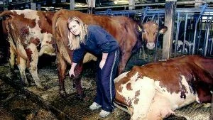 Foto: HANS BRANDIN Benen är väldigt viktiga i bedömningen av en ko, berättar Annarella Svensson, Solvestad Frälsargård i Hannäs. Hon har fyra år i rad utsetts till Sveriges bästa junior när det gäller att bedöma kor. Som junior har hon en chans till nästa år.
