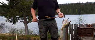 Var med i Nappataget!