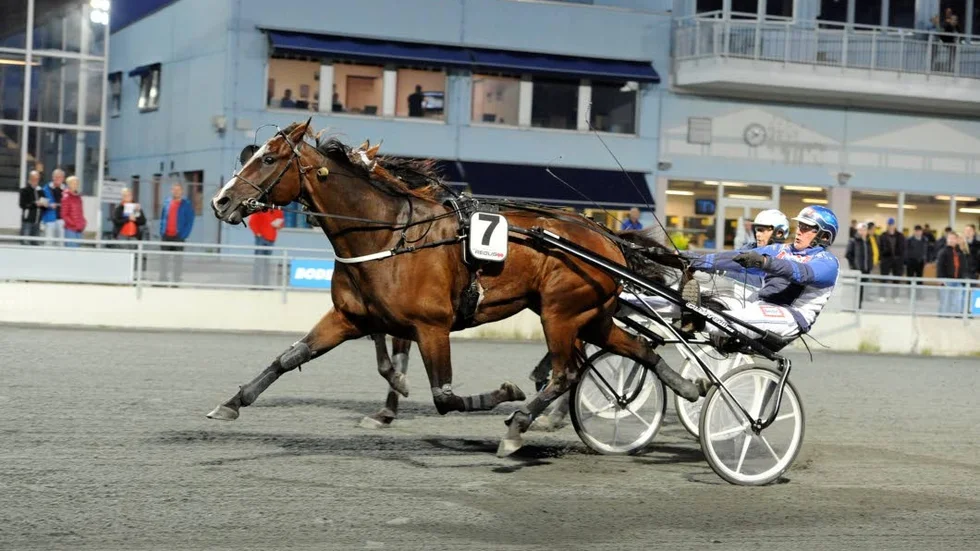PT-sportens travexpert Bosse Lundkvist chansspikar Höwings Star i V5-inledningen.