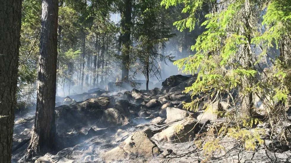 Det är risk för gräsbrand i Piteå, enligt SMHI.
