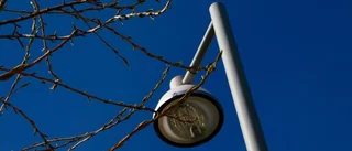 Rådet vill se frågan ordentligt belyst