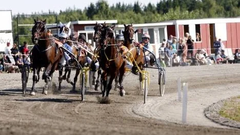 Utvändige 11-årige Alf On Road vinner säsongens första seger när han efter en virvlande långspurt travar hem sista loppet på bygdetravet. I sulkyn satt Lars Marklund. Innerspårets I Can Fly med Jaako Alamäki orkade inte hålla  undan.