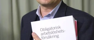 Littorin på nya villovägar