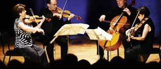 Musik i världsklass i akustik i världsklass