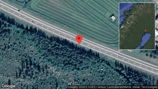 Rådjur på vägen på E4
