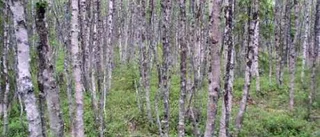 Nej till fler naturreservat