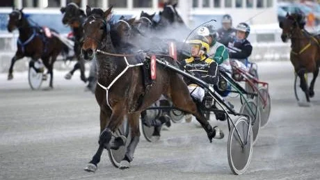 CHAMPION. Petter Lundberg försvarade sitt championat på Peabtravet. I går vann han med Call on Me.