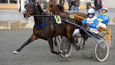 TRIVS PÅ VINTERN. Born to Dance är en häst som trivs när banorna blir lite långsammare. Här är det Kaj Widell som kör Kari Vaaraniemis häst till seger i V4-1.