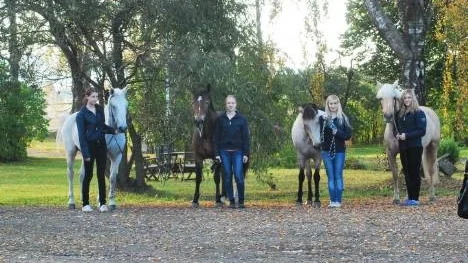 Piteå Ridklubbs lag i ponnydressyrens elitserien blev femma för andra gången i följd. I laget ingick, från vänster: Sofia Forssman/Miramis, Elin Lundman/Marwin, Maja Persson/Icy Q och Lisa Stare/Riida.