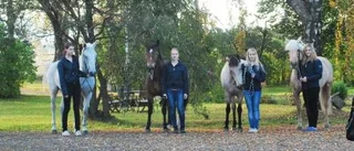 Dressyrlaget femma - igen