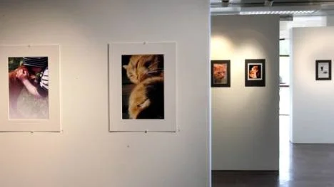 "Mjau" heter bildgruppens fotoutställning i Piteå konsthall på stadsbiblioteket.