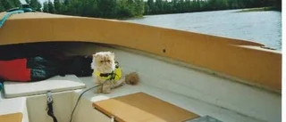 "Han säger att jag är en konstig katt"