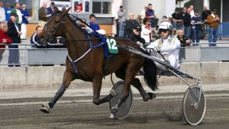 PENGAGIVARE. Mellby Schwim, med Patrik Nygren, tog hem segern i V4-4 till det höga oddset 32 gånger pengarna. I Norrbottens-Kurirens tips inför tävlingen höjdes dock ett varningens finger för hästen och den som följde tipset inkasserade 15.917 kronor i går.