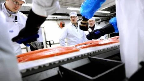 PÅLITLIGT. BD-fisk finns på Storön utanför Kalix. Ahti Liikamaa och Tryggve Bergman säger att företaget och Norrbotten har ett gott rykte i huvudstaden. "De vet att vi håller vad vi lovar", säger de. Foto: Andreas Wälitalo