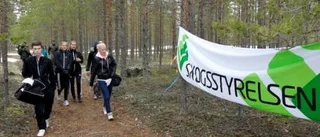 Kunskapsslinga på skogsmässa