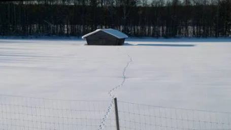 En härlig dag i februari.