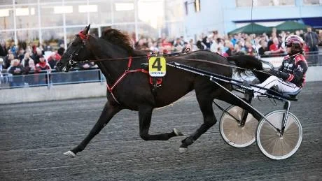 l Avalon Spider och  Roger Malmqvist. Foto: Petra Isaksson