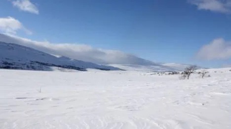 En solig vårvinterbild tagen vid lunchtid i trakterna kring gränsen i Arjeplogsfjällen. Minus 5 grader och sol, men då och då en och annan kraftig vindby.