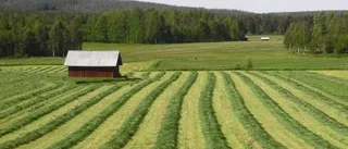 Dagens väderbild