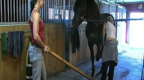 Ingela Eriksson vann på Skellefteåtravet med svårkörde Edolles Malte.