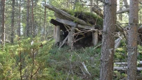 I dag tar Ilone Lidström med oss på en minnesvärd vandring till förfluten tid. Närmare bestämt till platsen för hennes barndomshem.