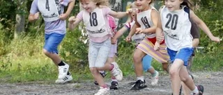 Piteåvinster i Taifjoggen