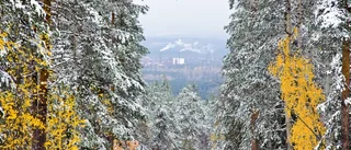 Norrbotten i Stor-Norrland?