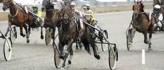 French Target i toppform