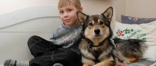 Fredrik har Sveriges vanligaste hund