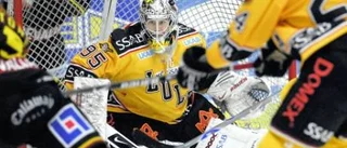 Törnqvist har tystat tvivlarna